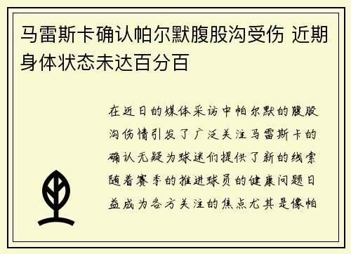 马雷斯卡确认帕尔默腹股沟受伤 近期身体状态未达百分百